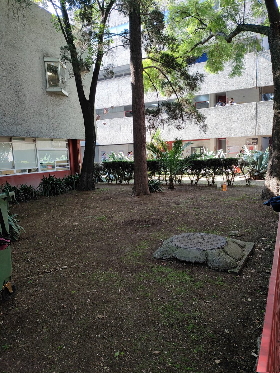 No entiendo la obsesión de barrer y barrer las hojas y el suelo y exponer las raíces como consecuencia, de "jardineros" y sus jefes.

Área por barrer // Área recién barrida

(Ya se enojaron las jardineras por andarle tomando fotos a su para mí innecesario trabajo)