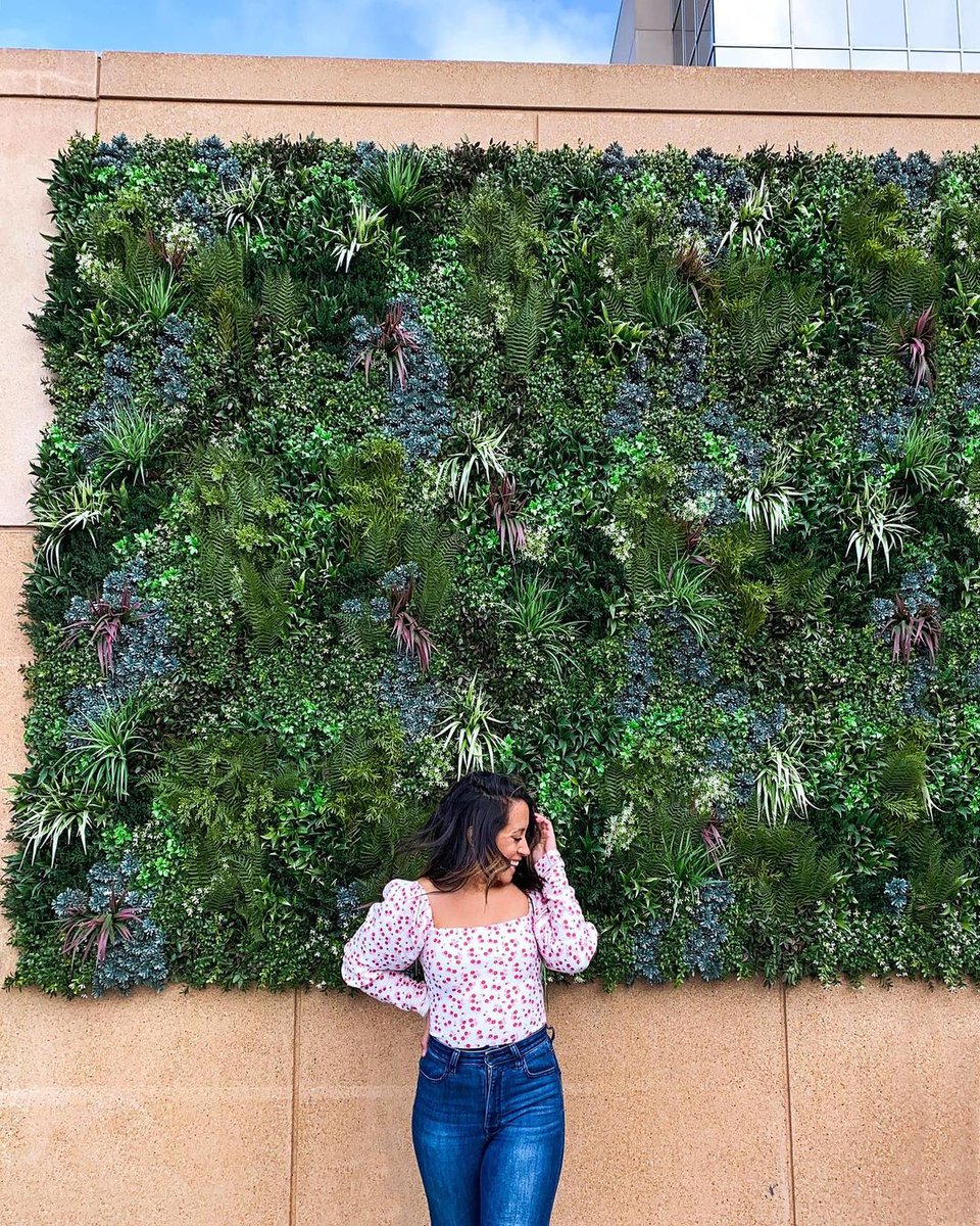 DavidsonHospGrp's tweet photo. A living green wall + rooftop pool in @visitkc? Yes, please!
π·: sevendayweekender at @Fontaine_KC @ThePlazaKC
#pivothotels #rooftoppools #livingwalls #bestrooftops #hospitalitymanagement https://t.co/NiCP7Zc12a