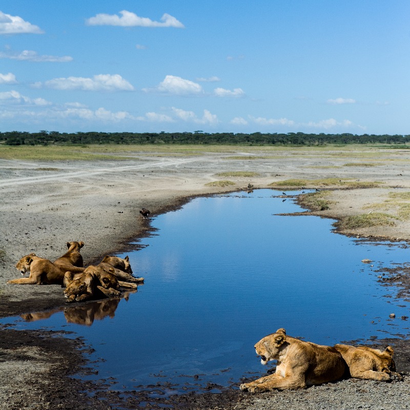COP26's tweet photo. There has been an increase in the number of extreme droughts around the world, due to the effects of #ClimateChange.

To protect the water that we rely on, we must advance #ClimateAction 🌎

#WorldWaterWeek 💧 https://t.co/t357NoBsQH