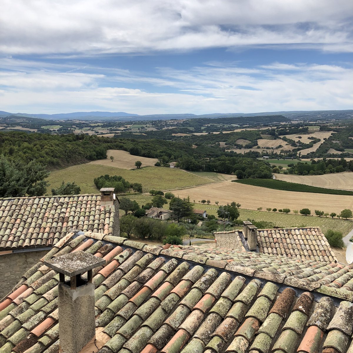 Mike Sabbagh tweet media