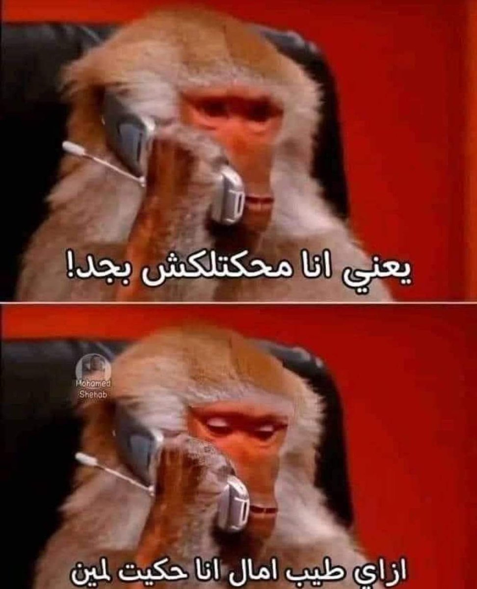 arabmemesss's tweet photo. نبذة مختصرة عن ذاكرتى: https://t.co/q3pO49YqJm