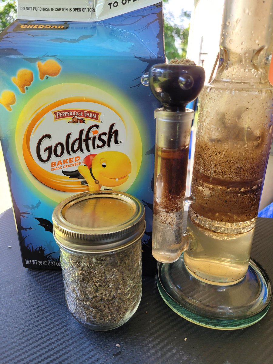 pushingorphans's tweet photo. "Hits bong"
You know what me and goldfish have in common???
We're both baked!!!
#420friendly #420community #stonerdino #stonerstreamer
#420things https://t.co/f16CLn4v8G