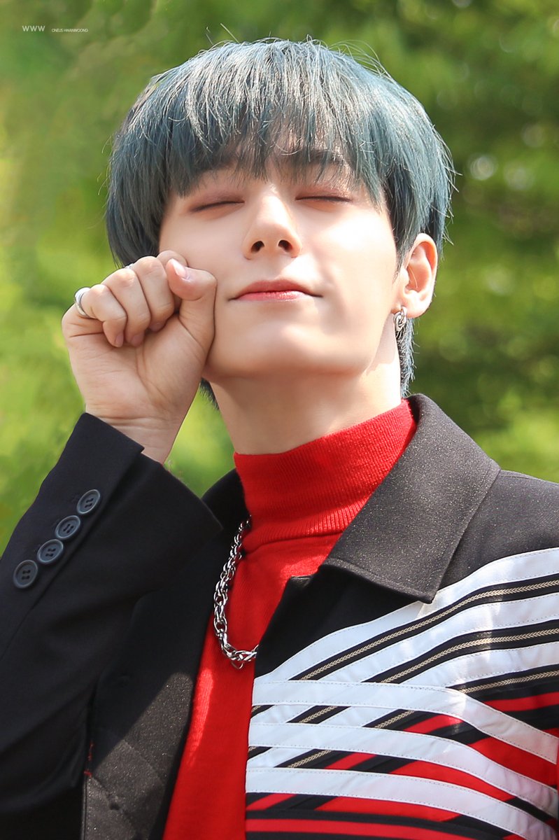 WorldWideWoong's tweet photo. 애기호랑이🐯말랑콩떡쪼꼬미귀요미 생일 축하해!!
#환웅이_생일떡주면_안잡아먹지
#SHINING_HWANWOONG_DAY
#환웅 #HWANWOONG #여환웅  
#원어스 #ONEUS https://t.co/wXBm5w7qlX