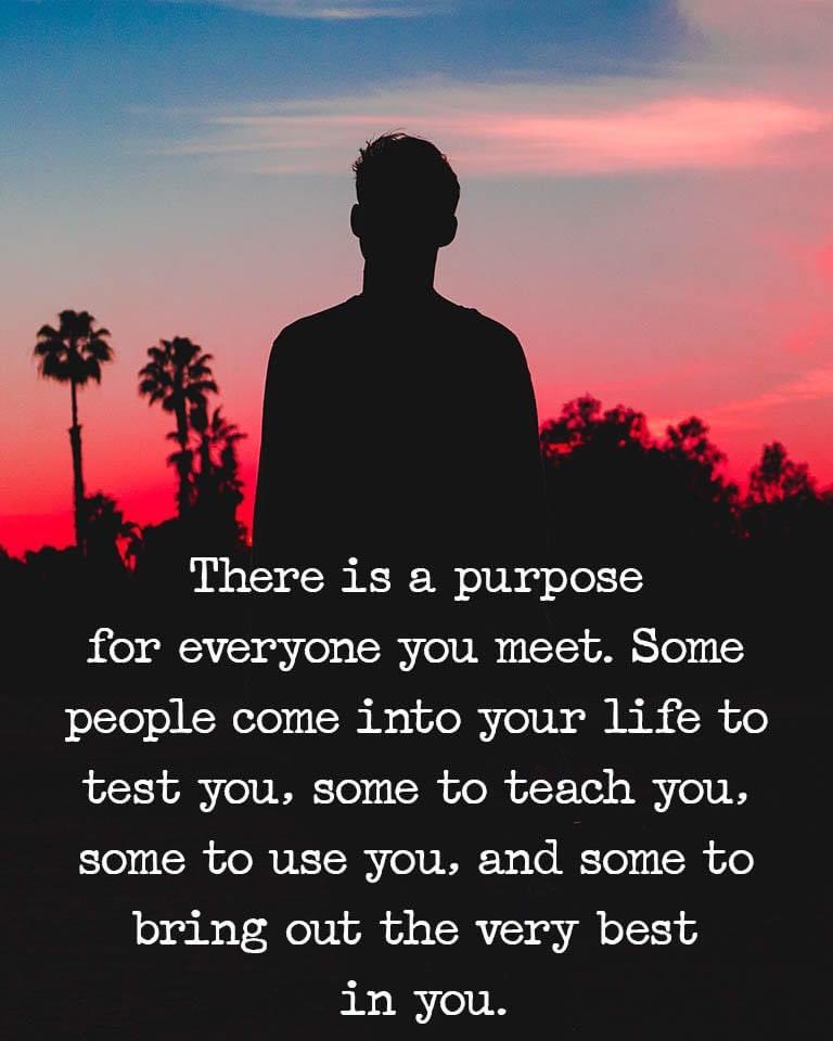 MY_LoveLee's tweet photo. From things to people. Always with a purpose. Have met them all actually, except the last one. Will i ever meet those people? 

Makes me wonder as well, will there be some to bring out the worst in me? 🤔 I hope i don’t meet those people.
#lifequotes #lifemello https://t.co/zBqK8B2qY9