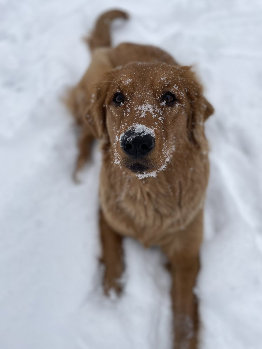 Miss Bowyer tweet media