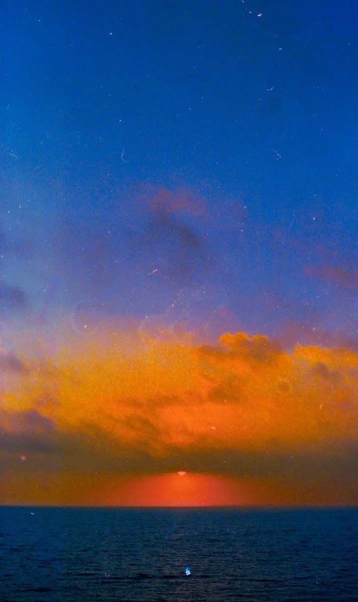 angel 🌙 tweet media