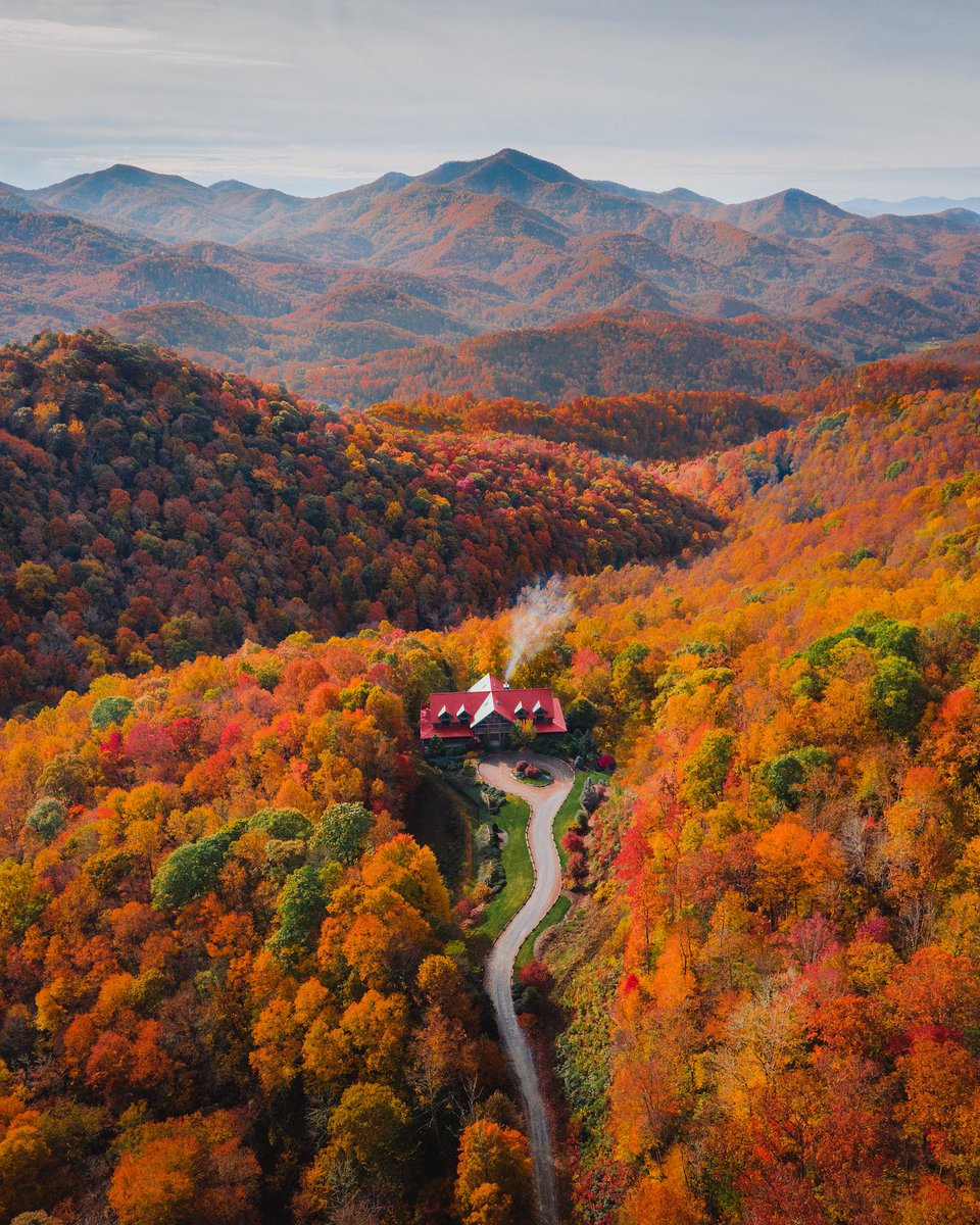 braybraywoowoo's tweet photo. a photo i took in north carolina https://t.co/3cMap8H061