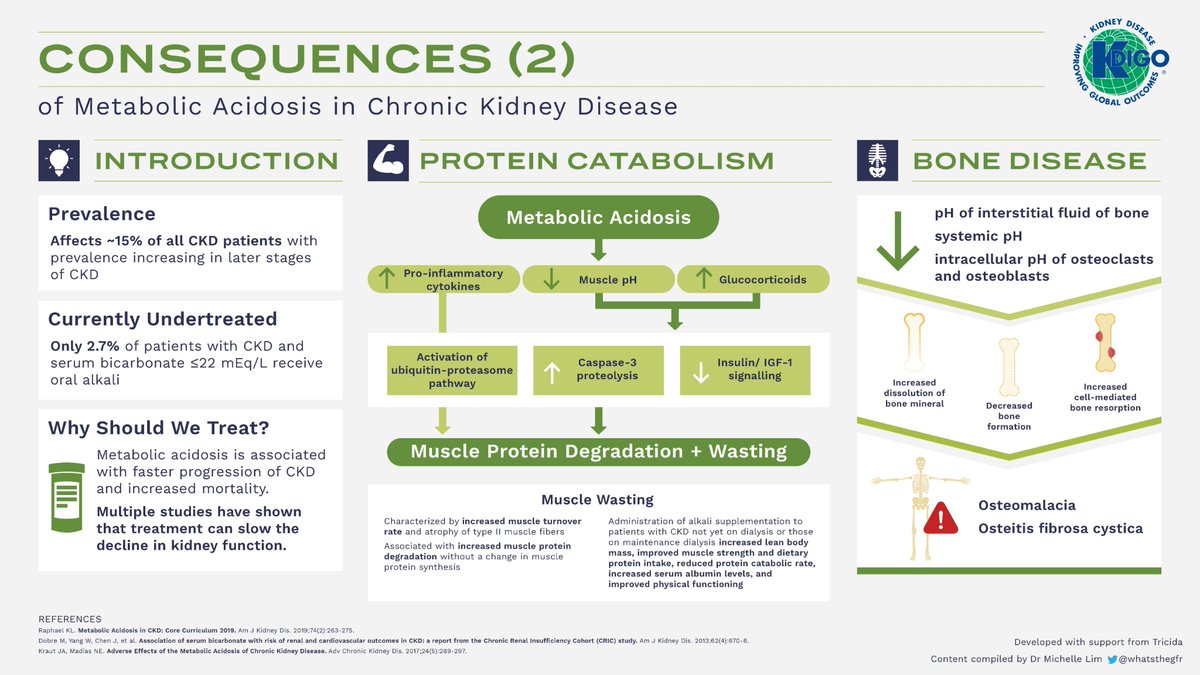 goKDIGO's tweet photo. KDIGO is pleased to share a new infographic set,  Overcoming Metabolic Acidosis: A Known CKD Complication. KDIGO thanks @whatsthegfr for compiling the content on which this infographic set is based. 

Download the full set: https://t.co/KOLHXNfSL6 

#metabolicacidosis #CKD https://t.co/OKog0tpjWw