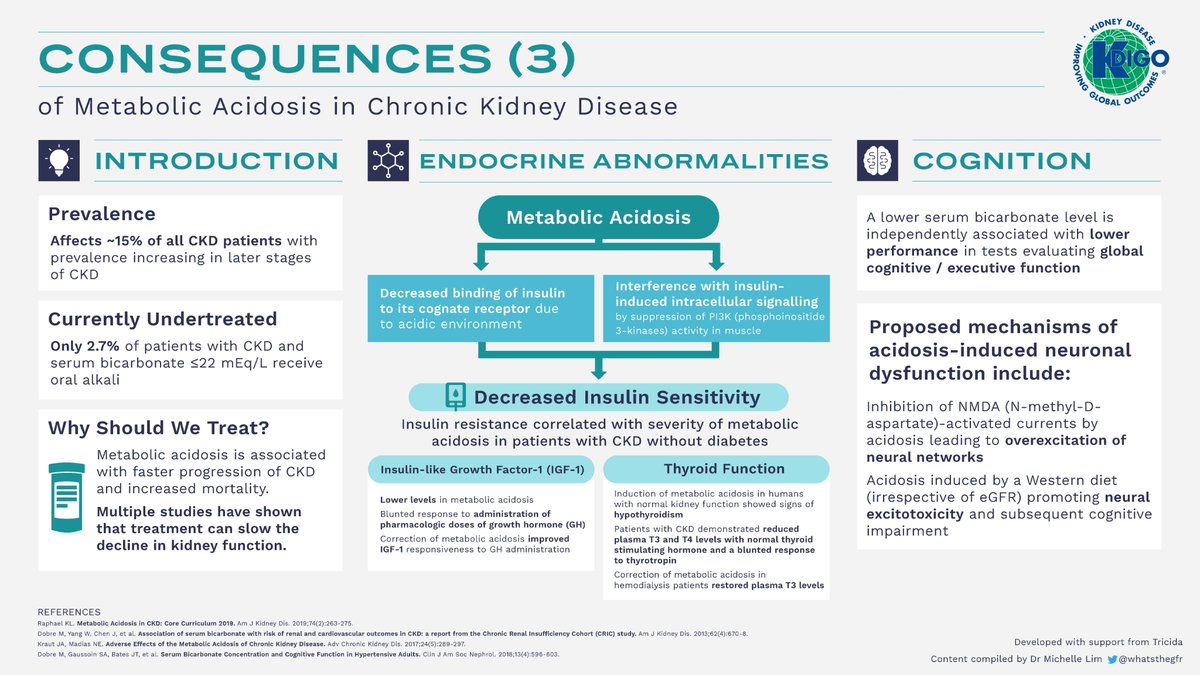 KDIGO is pleased to share a new infographic set, Overcoming Metabolic Acidosis: A Known CKD Complication. KDIGO thanks @whatsthegfr for compiling the content on which this infographic set is based. Download the full set: kdigo.co/Metabolic-Acid… #metabolicacidosis #CKD