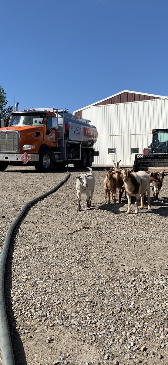 Tullikopf Fuels Ltd tweet media