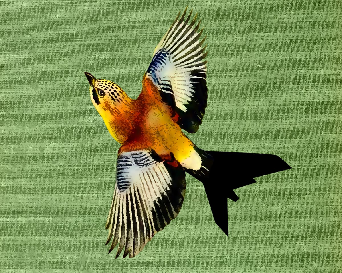 Pat Bourgeault tweet media