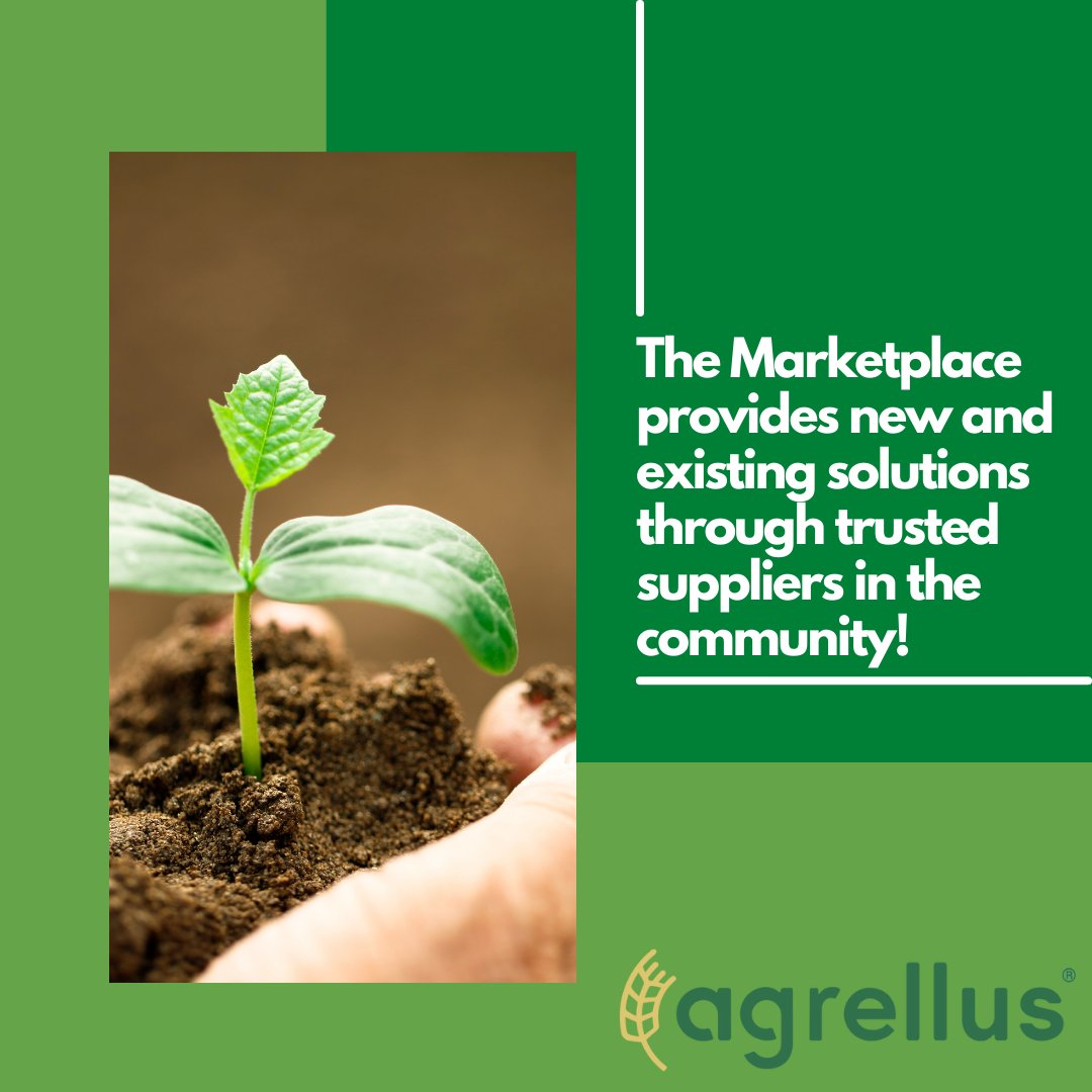 AgrellusFarm's tweet photo. Join the Agrellus Marketplace today! Agrellus is all about community and value!
#Marketplace #value #AgInputs #Agrellus #community https://t.co/8gyNqX1V0U