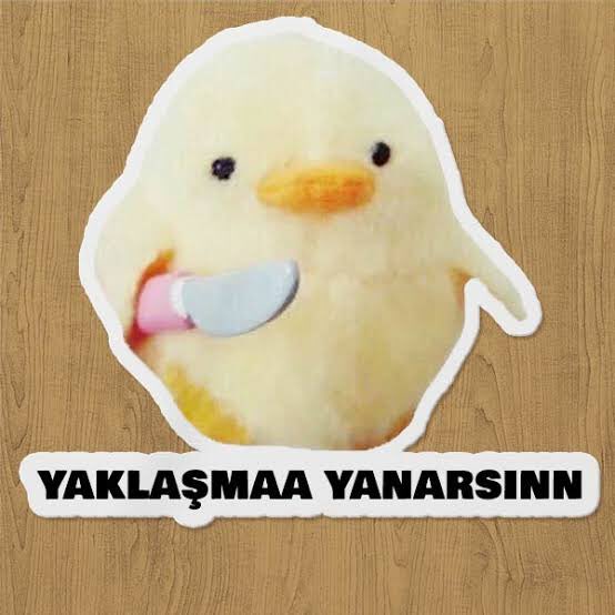 Cecemik🍎 tweet media