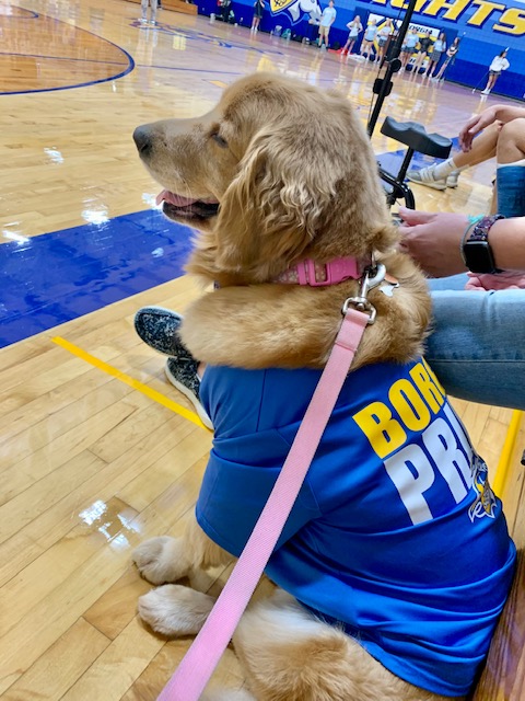BorgiaHS's tweet photo. Did you know an entire month is dedicated to our canine BFFs? Who better to feature during #NationalDogMonth than Daisy, our certified, registered therapy dog? She is an essential member of our counseling team & has helped build a culture of support, comfort, & acceptance! #Woof https://t.co/gDBOyakest