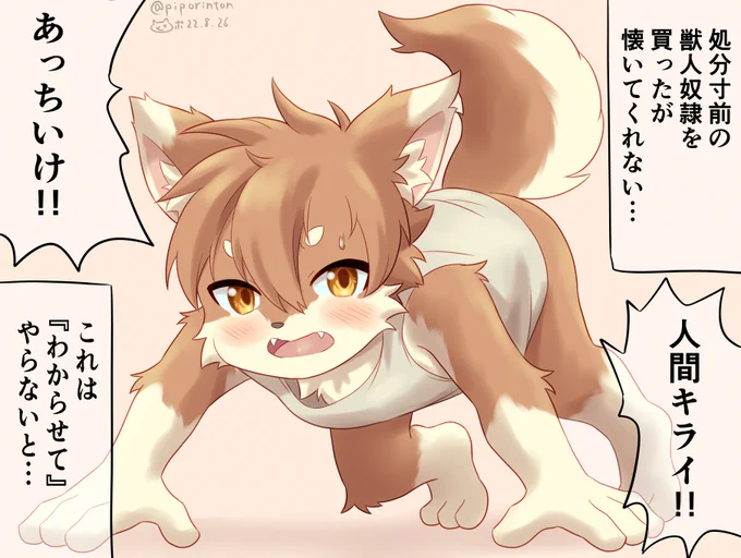 けもしょたどれいとなかよくなろう〜1日目〜 