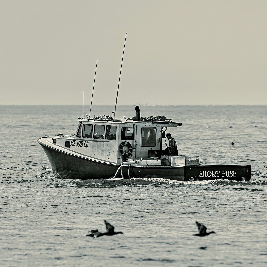 Venture_Vision_'s tweet photo. GM!

Which one is your favorite; birds or no birds ? 

#visitmaine #blackandwhitephotography https://t.co/RbfD8tzwSS