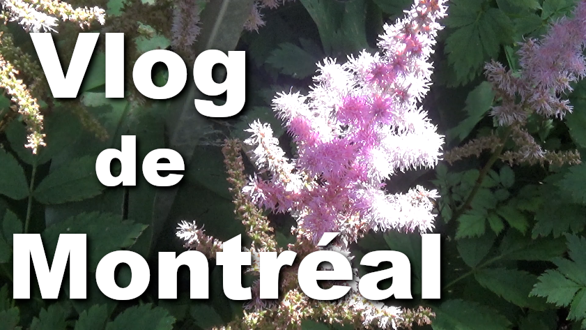 The Roving Naturalist tweet media
