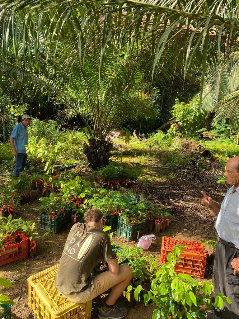 Carbonable.io 🌱🌐 tweet media