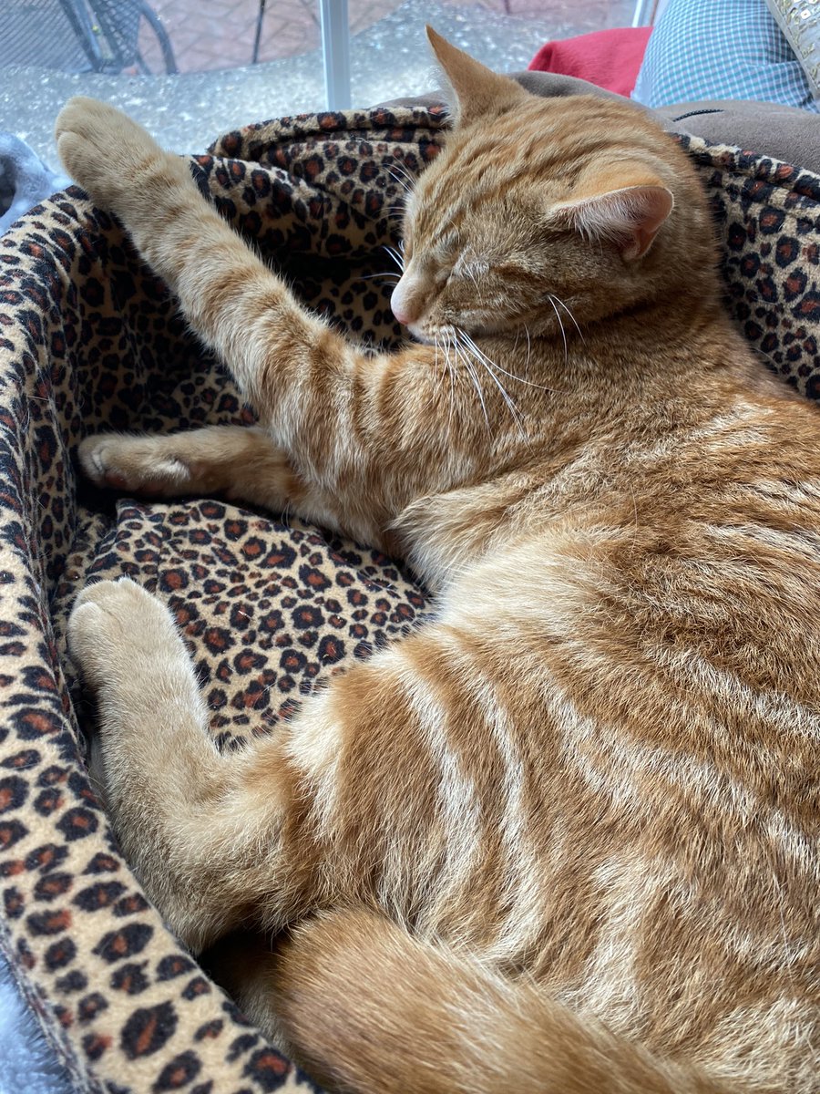 I’ve had the most stressful day ever …