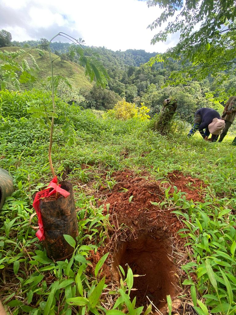 Carbonable.io 🌱🌐 tweet media