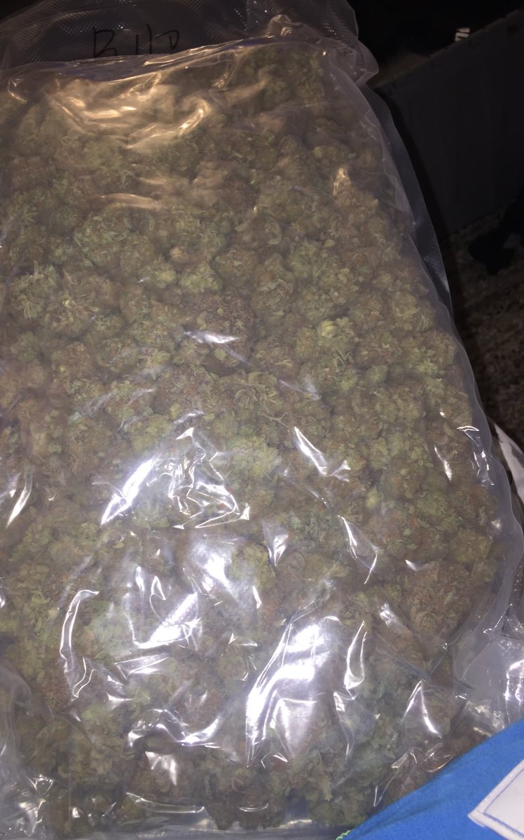 Wstorlandoexot1's tweet photo. I love the smell of fresh BUBBA KUSH π₯° #orlandoweed #orlandotourist420 #idriveweed #idrive420 #universal420
#disney420 #kissimeeweed #kissimee420 #orlandofreaks #partyorlando https://t.co/pGjRqXDGk8