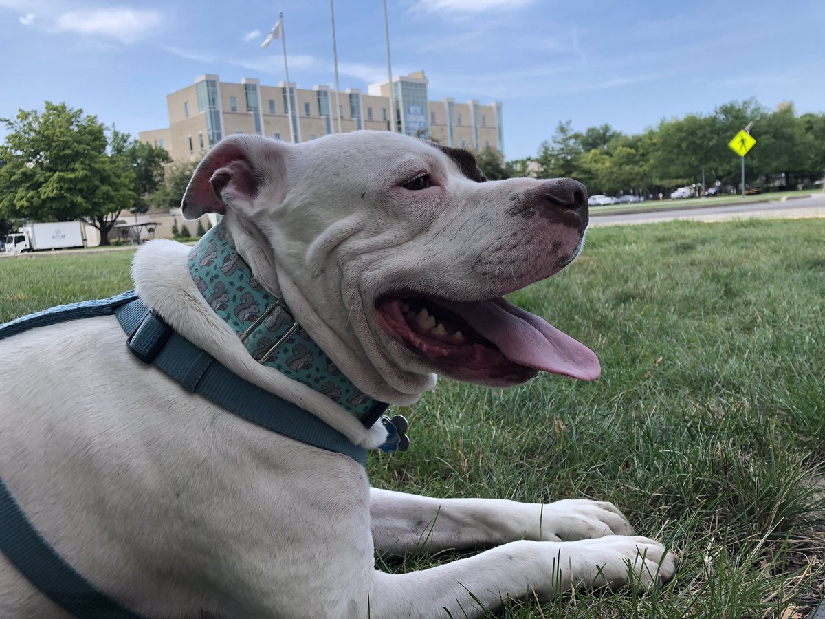 Bosworth27's tweet photo. Happy back to school @TheButlerBlue!  (And students too!) - Your Neighbor Marty https://t.co/4DxKXljRQ7