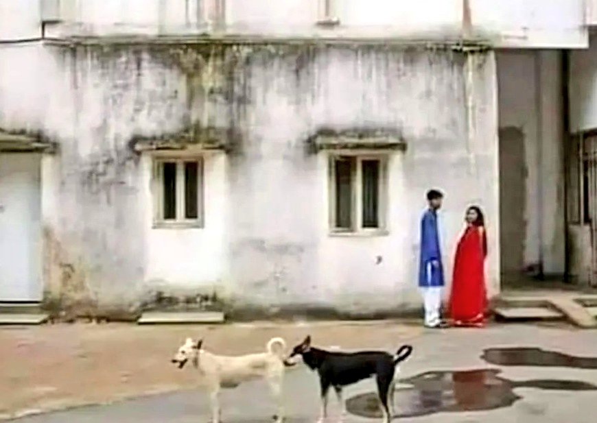 flirtymale1's tweet photo. Kutta ho ya admi.... Sabko ek hi cheej chaiye 😝 https://t.co/YURvqpIPZL
