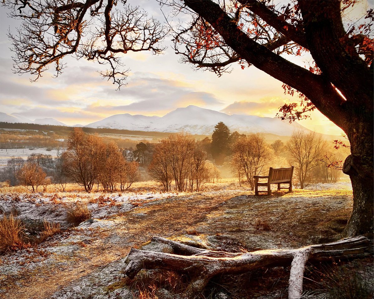 Mark Reynolds tweet media