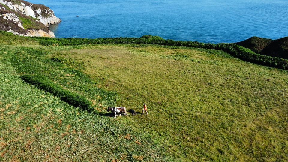 angleseycouncil's tweet photo. Grant funding to help enhance biodiversity and wildlife habitat.
@angleseycouncil has secured three years ‘Sustainable Landscapes Sustainable Places’ funding from Welsh Government to run a number of environmental projects.
Read more here: https://t.co/0OTipIvXHH https://t.co/ThPqcQy1K7