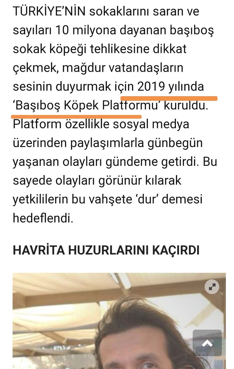 anonymouspawss's tweet photo. Bu kukla başından beri içerisinde olduğu oluşumun tarihçesini bile bilmiyor arkadaşlar. 2019 da Anadolu Kedisi ile hayvan düşmanlığı yapıyordunuz Sedat. Başıboş Köpek Sorunu platformunu 2020 de kurdunuz.🤦‍♂️ https://t.co/3avY06v0aw