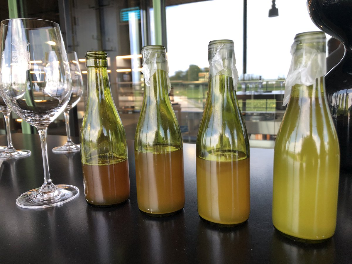 PichonComtesse's tweet image. 2022 Pichon Comtesse blanc - Time for our 1st Vintage white wine making - So glad but also anxious to experiment Chardonnay &amp;amp; Savagnin pressurage, fermentation, stirring… Team Comtesse on fire !!! 💪🤞🏼👊 NG #pichoncomtesse #pichonlalande