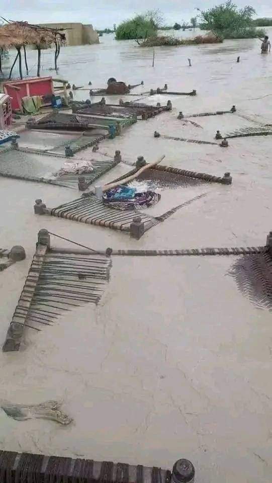 PakiGadden's tweet photo. South Punjab has been destroyed by floods, people are dying of hunger, the federal and Punjab governments are busy humiliating each other.  Thousands of lives have been swept away by the water, but the media does not see it.
#HelpFloodVictims https://t.co/DeSasg8aZ6