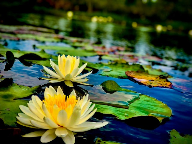 GreenSource EP, Inc. tweet media