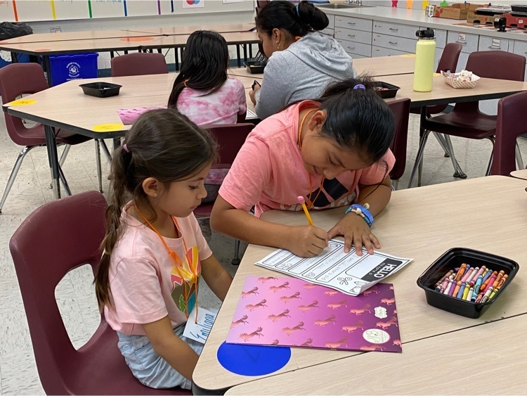 SeaWind Elementary tweet media