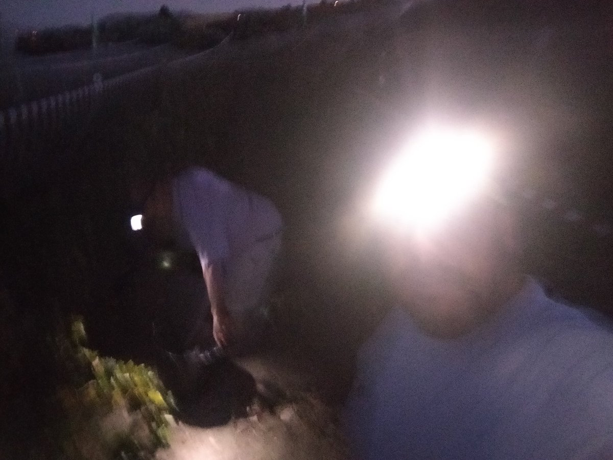 MSA_MedioRural's tweet photo. Hoy algunos compañeros del movimiento han comenzado con la vendimia nocturna. Según nos cuentas esperan obtener una buena cosecha y un buen vino con esta forma de recoger la uva. https://t.co/2kOGDo9FTf