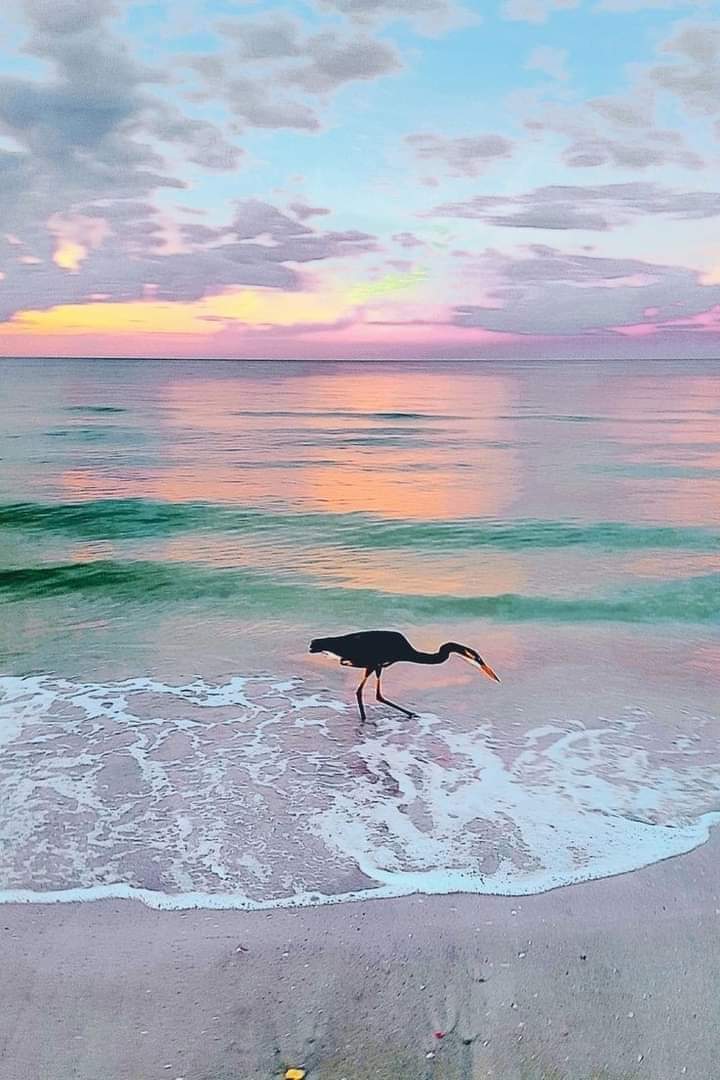 ࿐❥𝖳𝖾𝗋𝖾𝗌𝖺 𝖫 ࿐❥  tweet media