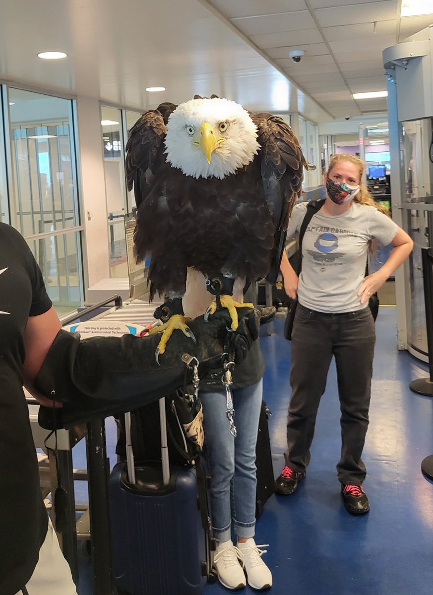 TSA Southeast tweet media
