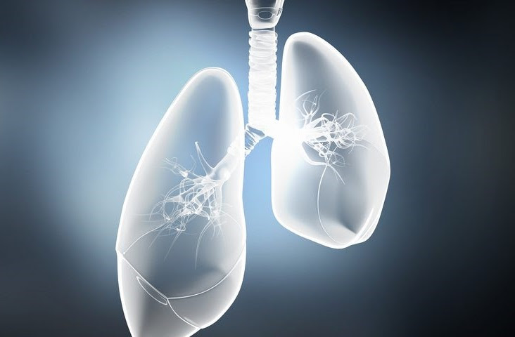 CFRI_CureCF's tweet photo. EVIDENCE GROWS IN SUPPORT OF EARLY #CFTRModulator TREATMENT FOR CHILDREN WITH #CysticFibrosis
The availability of #Trikafta for younger populations offers hope that disease progression can be slowed or even prevented.
https://t.co/e7G3aCX9MT
#kaftrio #CFresearch #MedTwitter https://t.co/MDXRTQF1CU
