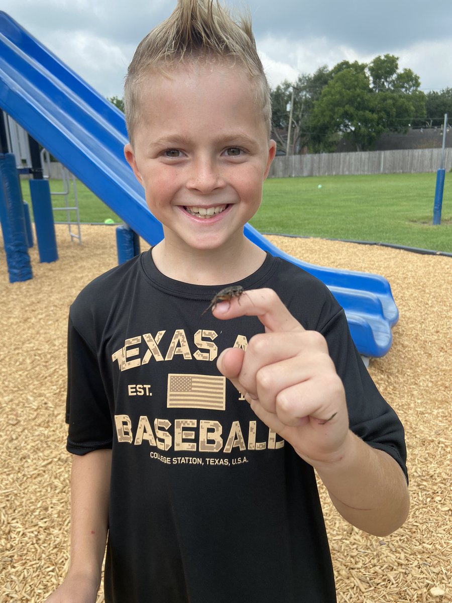 Dana Schendel tweet media