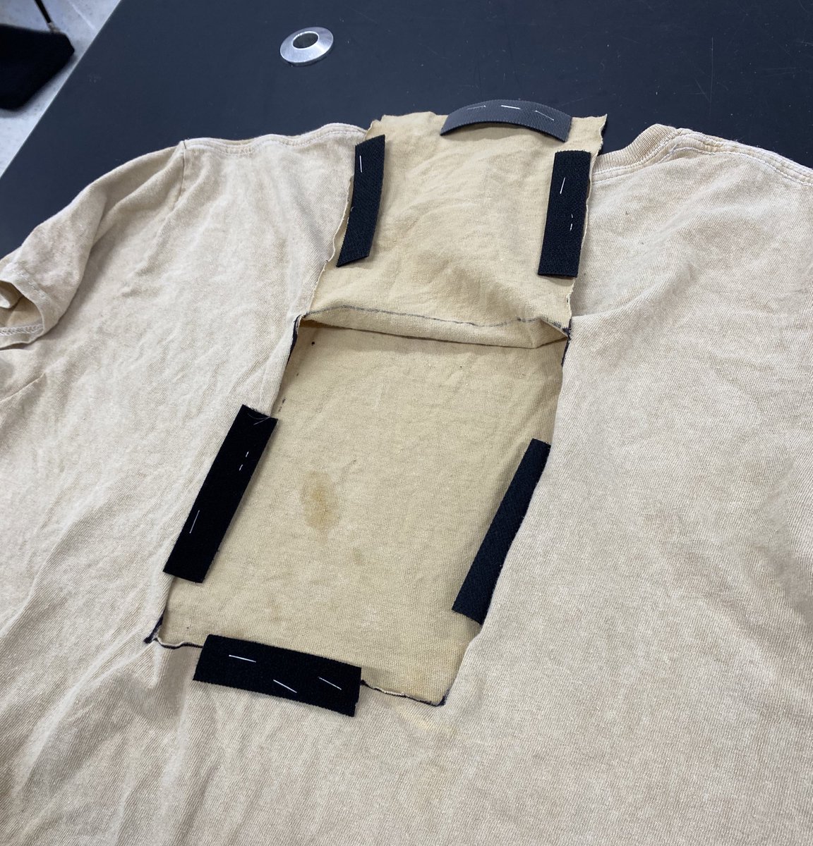 anna wydeven (she/her) tweet media