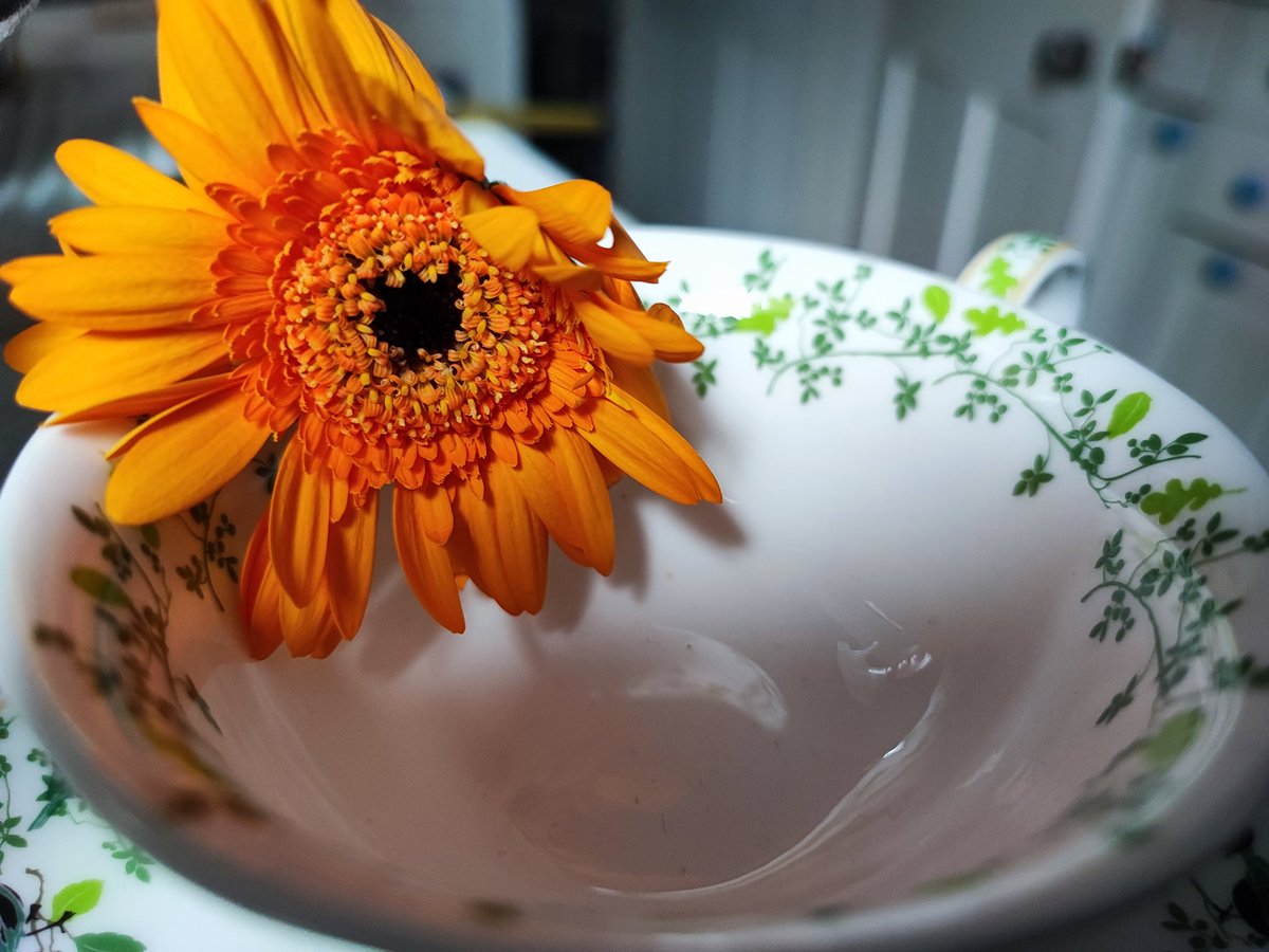 Denise Wilton tweet media