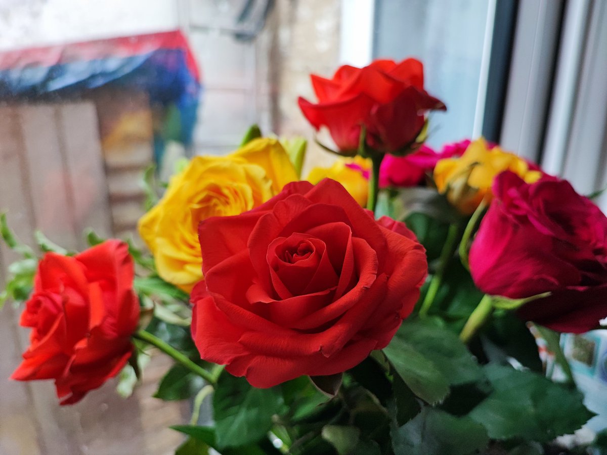 Denise Wilton tweet media