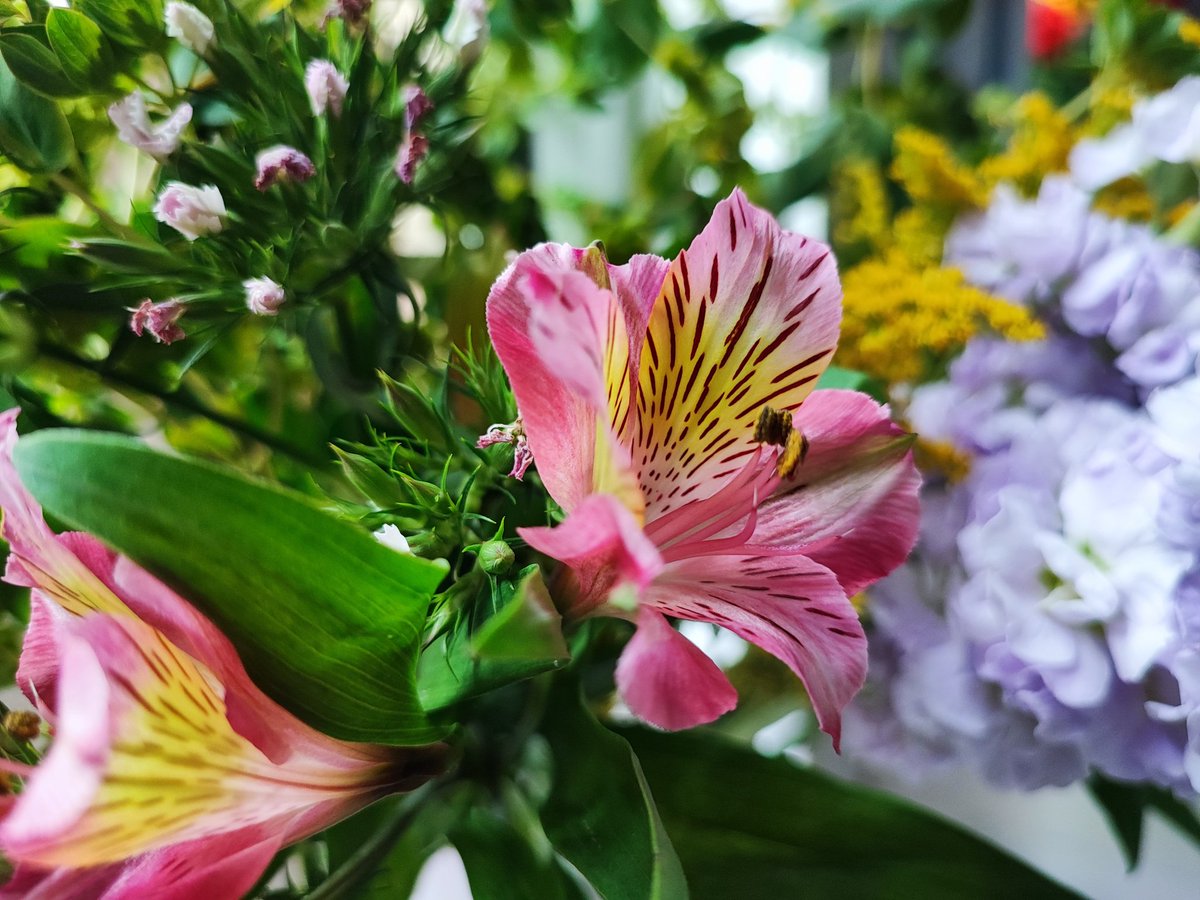 Denise Wilton tweet media