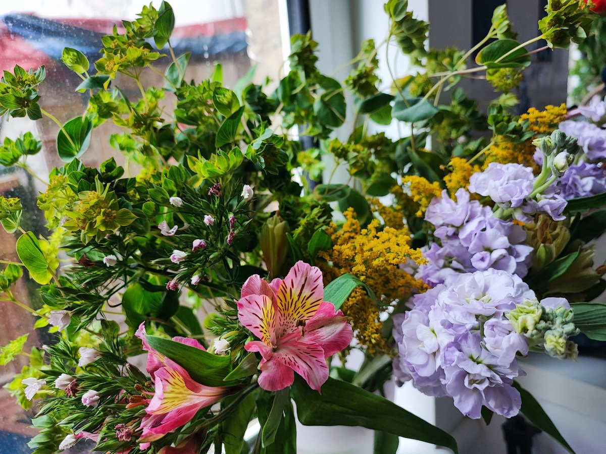 Denise Wilton tweet media