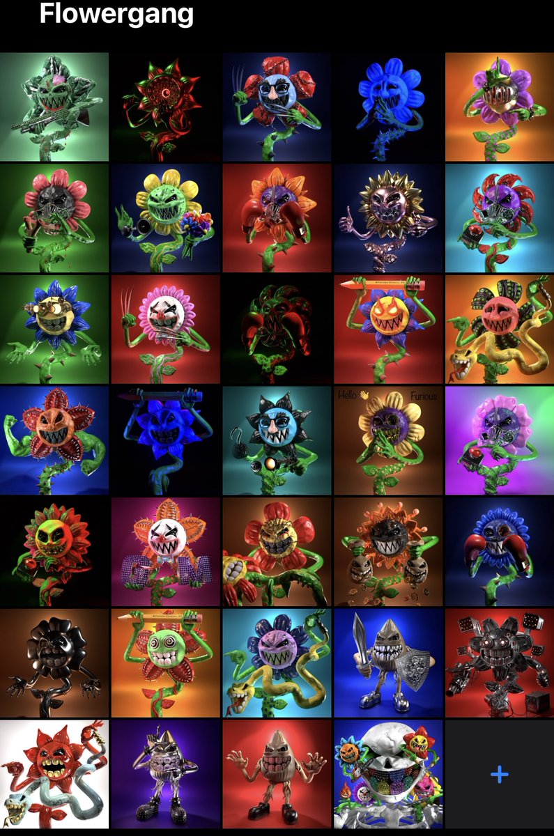 (Chief) - El Jefe | S̡̰̆akͧͮͮitͯͧ̀S̡̰̆ickͧͮͮ (@ssakiit) on Twitter photo 4ever a <a href="/FuriousFlowers/">Furious Flowers</a> holder 🫡🫶🏼💎🤝 4ever a <a href="/FuriousFlowers/">Furious Flowers</a> holder 🫡🫶🏼💎🤝