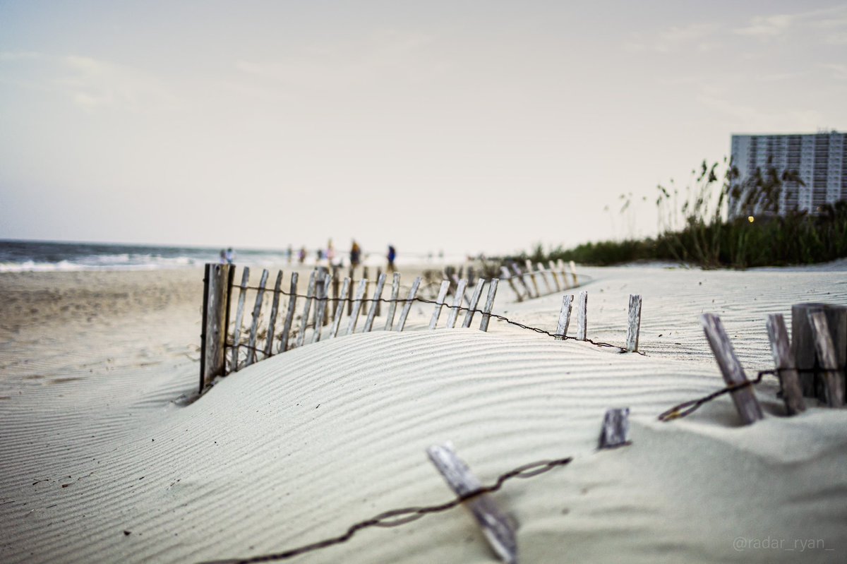 radar_ryan_'s tweet photo. On a long stretch of beach, sand dunes, mounds of sand shaped by the wind, dot the landscape🏝
•
•
•
•
•
#beachphotography #landscapephoto #endofsummer #myrtlebeach #beachshots #beachside #sanddunes #summervibes☀️ #natureswonder #beachscape #seascapes #beachday #beachtime https://t.co/hSMGXFiAMb