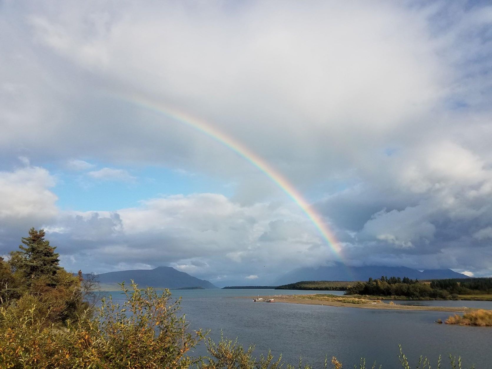 katmai-national-park-on-twitter-guess-who-s-106-and-looking-better