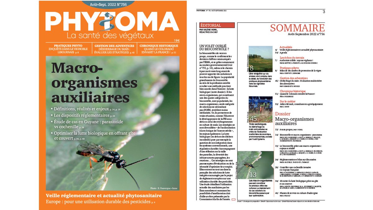 Phytoma_ldv's tweet photo. @Phytoma_ldv n°756 est paru😀Merci à ses contributeurs ! @FranceFredon @Anses_fr @UMREGFV #GDON du Libournais @SAgrobiotech @INRAE_UMR_DGIMI @CBGPMontpellier @UMR_IGEPP @UPvbmt @Cirad @ASTREDHORMed @astredhor Est horticole @Grab_fr @_Ctifl @Arvalisofficiel @AcademieAgri
#PBI #li https://t.co/UuNp6ZCGce