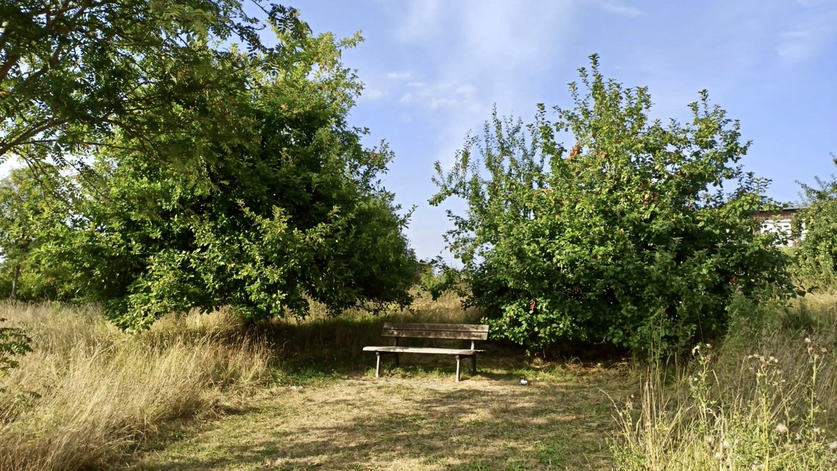 glaubeweiter's tweet photo. #Hochsommer Noch ist es sehr #heiß aber die #versteckte #Bank auf der #Streuobstwiese steht im #Schatten Da lässt es sich gut #aushalten #Lieblingsplatz 🤗 Denkt dran: „Lebenskünstler ist, wer seinen Sommer so erlebt, dass er ihm noch den Winter wärmt.“ (Alfred Polgar) https://t.co/plL2V93q2E