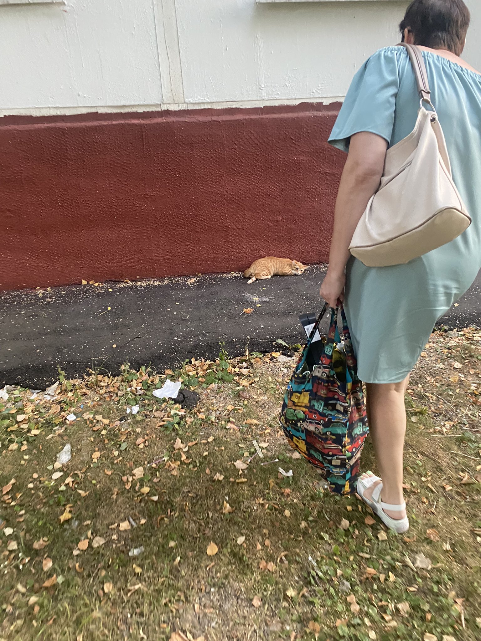 фея в ахуе on Twitter: "Шла женщина по параллельной дороге, и постоянно ...